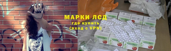 ПСИЛОЦИБИНОВЫЕ ГРИБЫ Гусь-Хрустальный