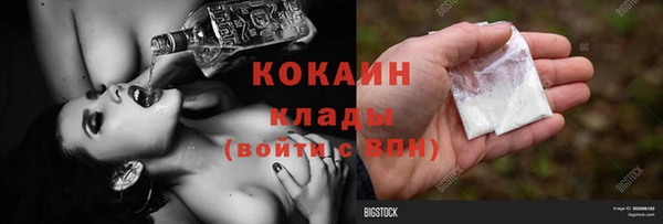 шишки Вязьма